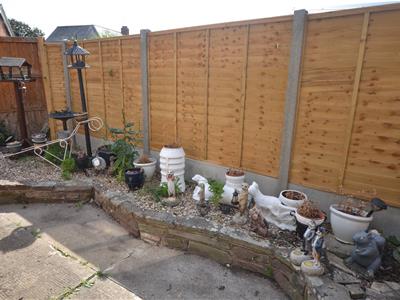 Picture 15